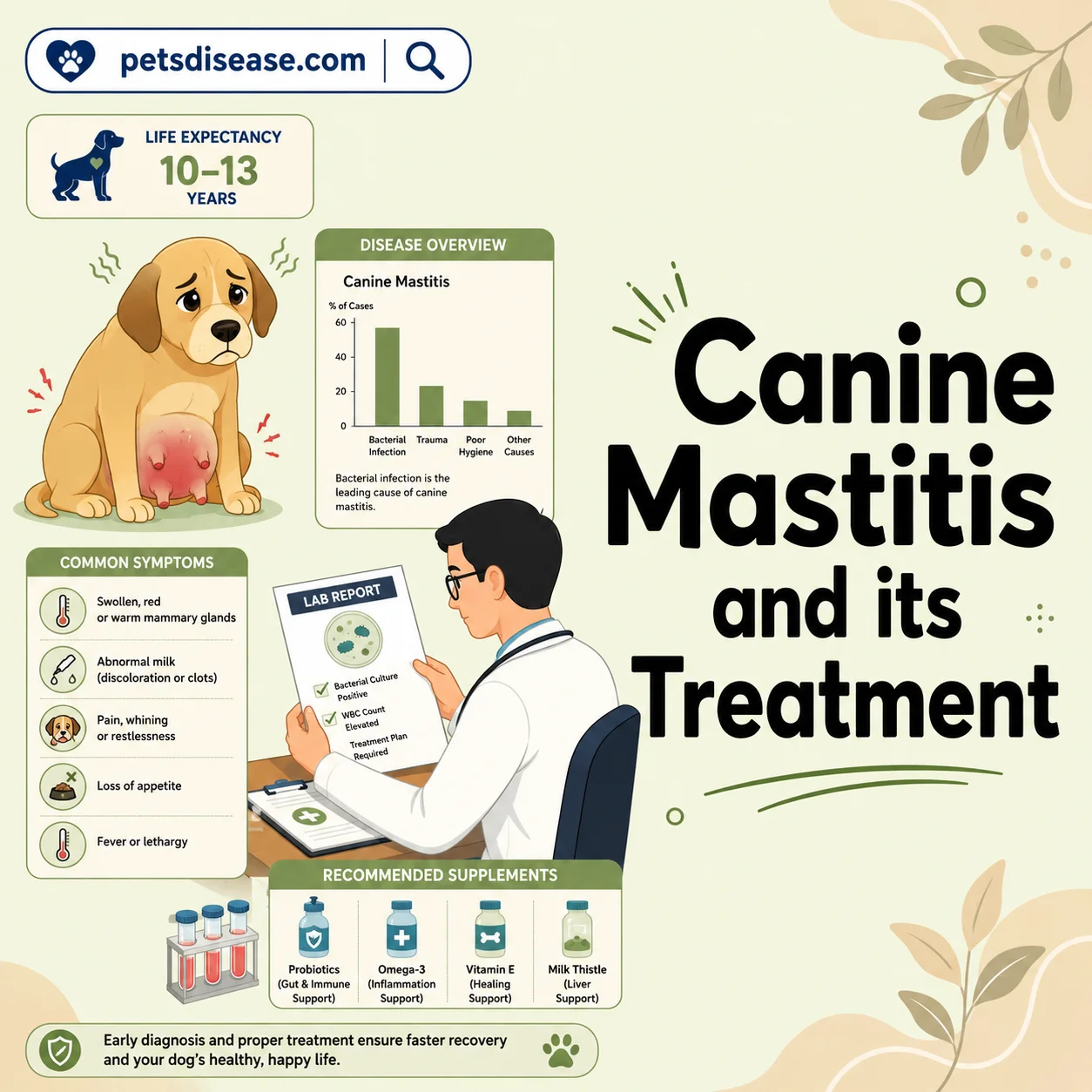 Canine Mastitis and its Treatment