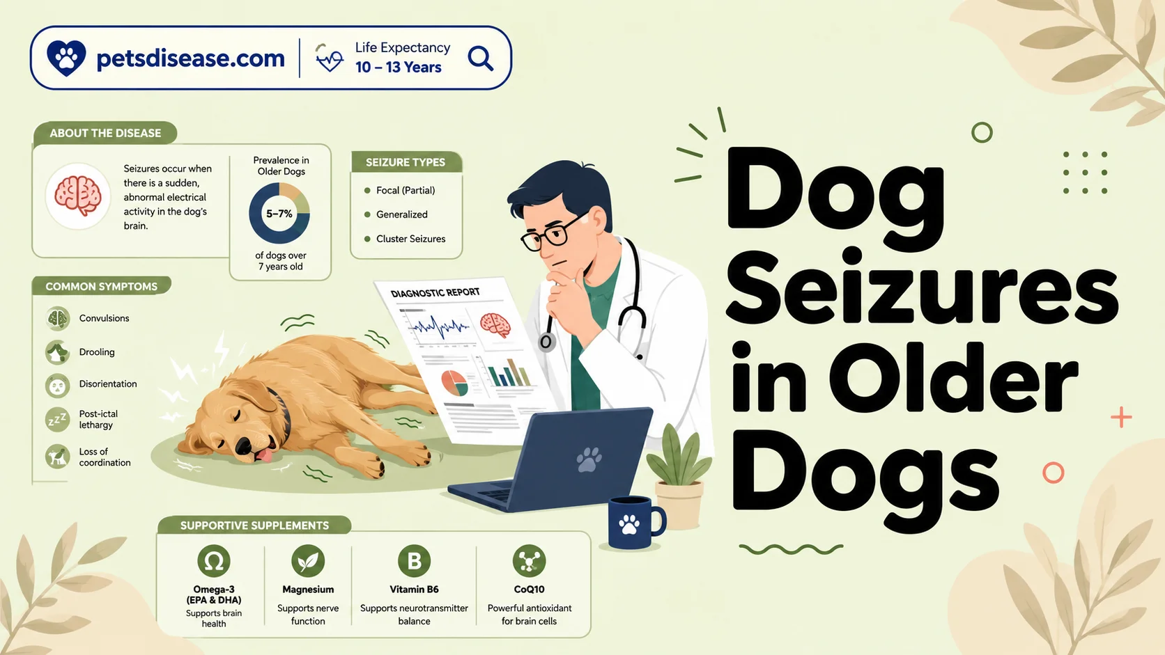 Dog Seizures in Older Dogs