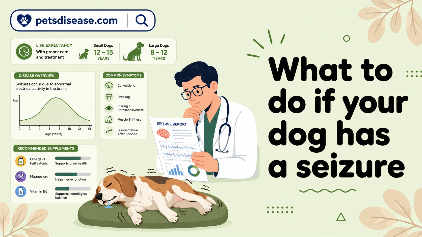 What to do if your dog has a seizure