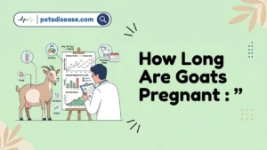 How Long Are Goats Pregnant?