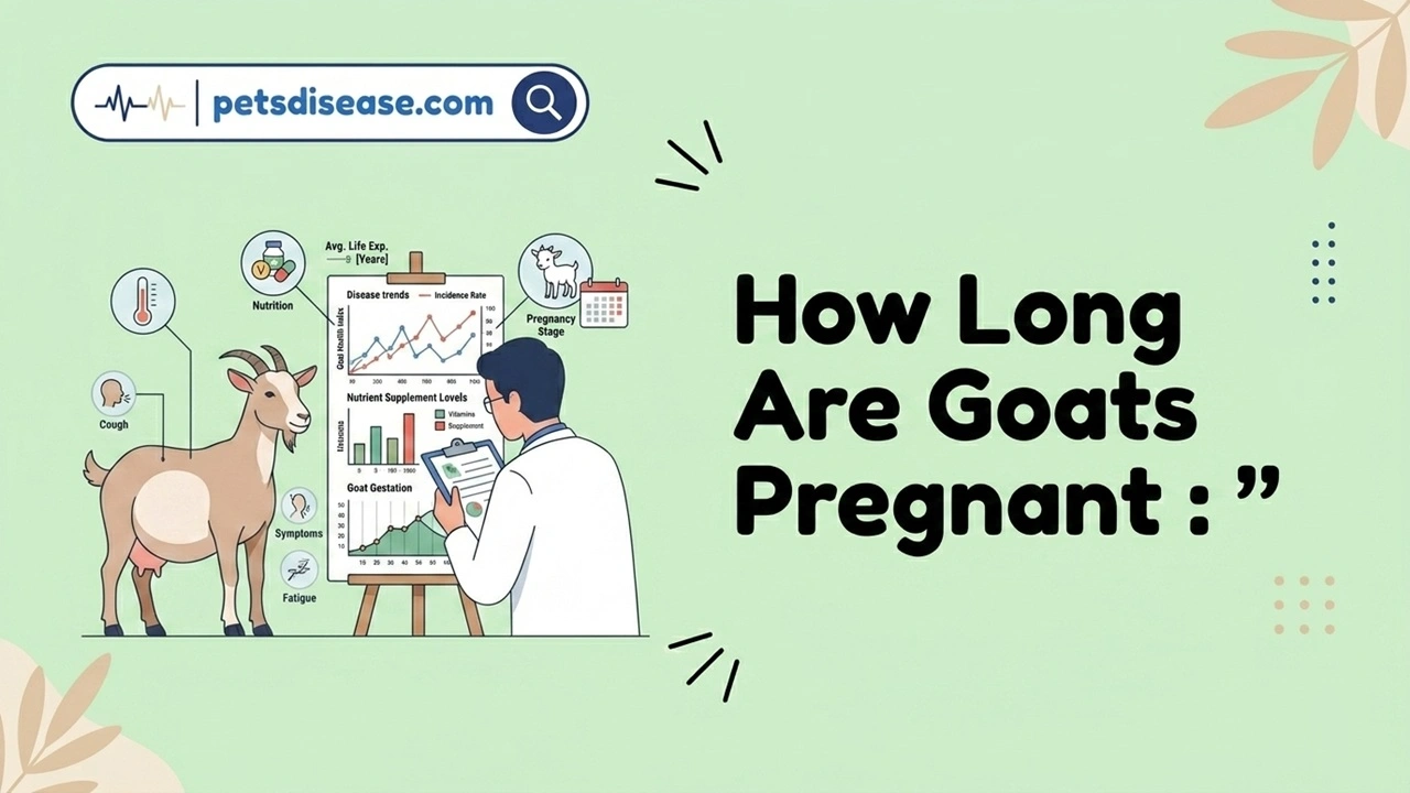 How Long Are Goats Pregnant?