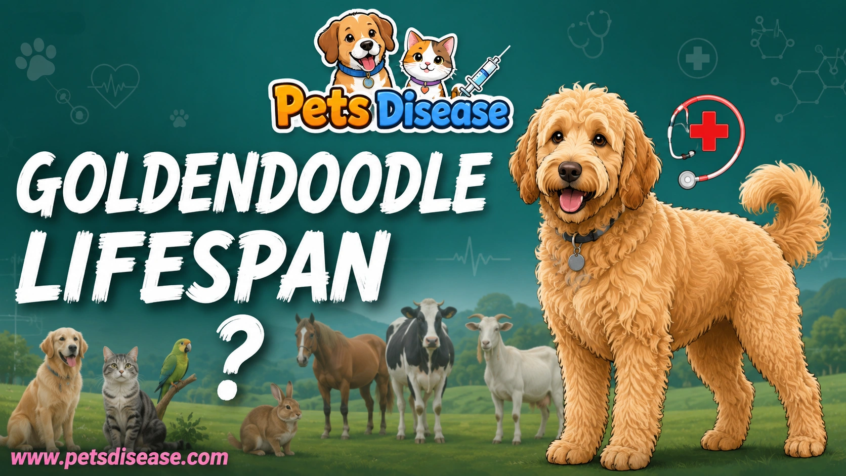 A Goldendoodle lifespan