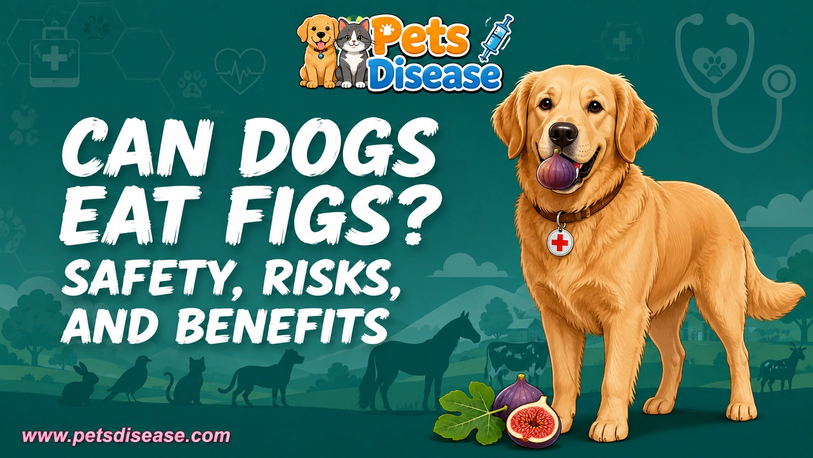 Can Dogs Eat Figs? Safety, Risks, and Benefits