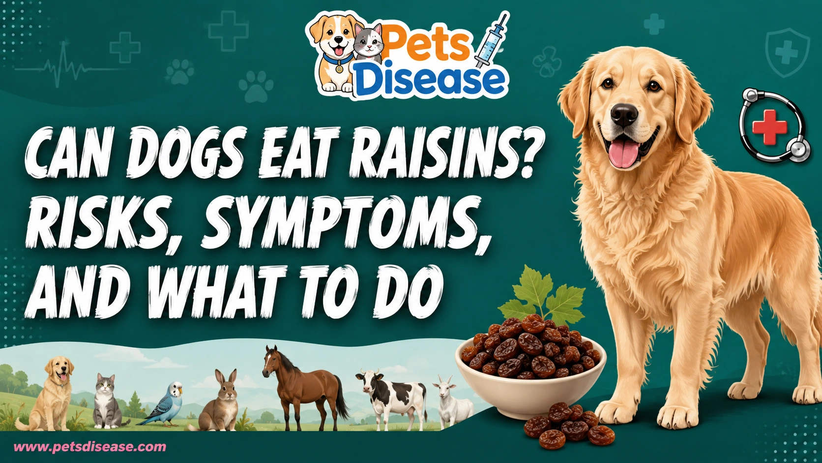 Can Dogs Eat Raisins? Risks, Symptoms, and What to Do