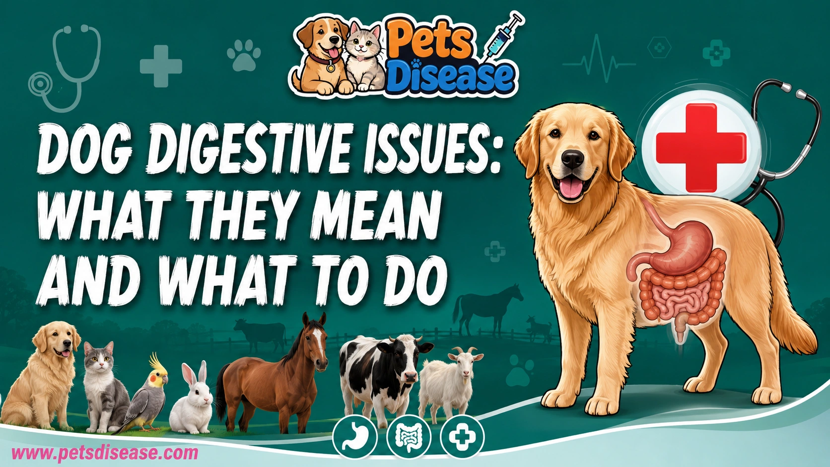 Dog Digestive Issues: What They Mean and What to Do