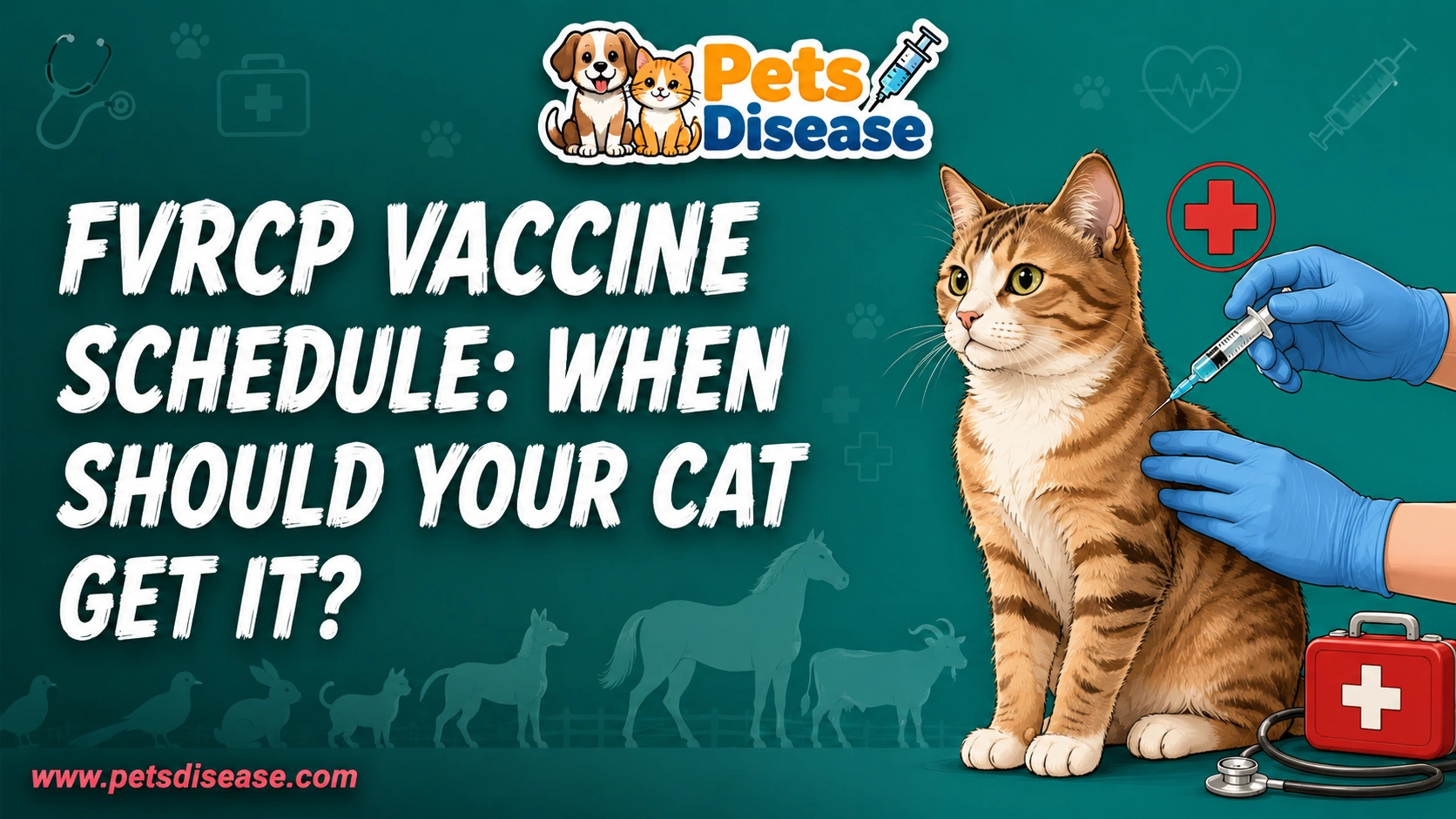 FVRCP Vaccine Schedule: When Should Your Cat Get It?
