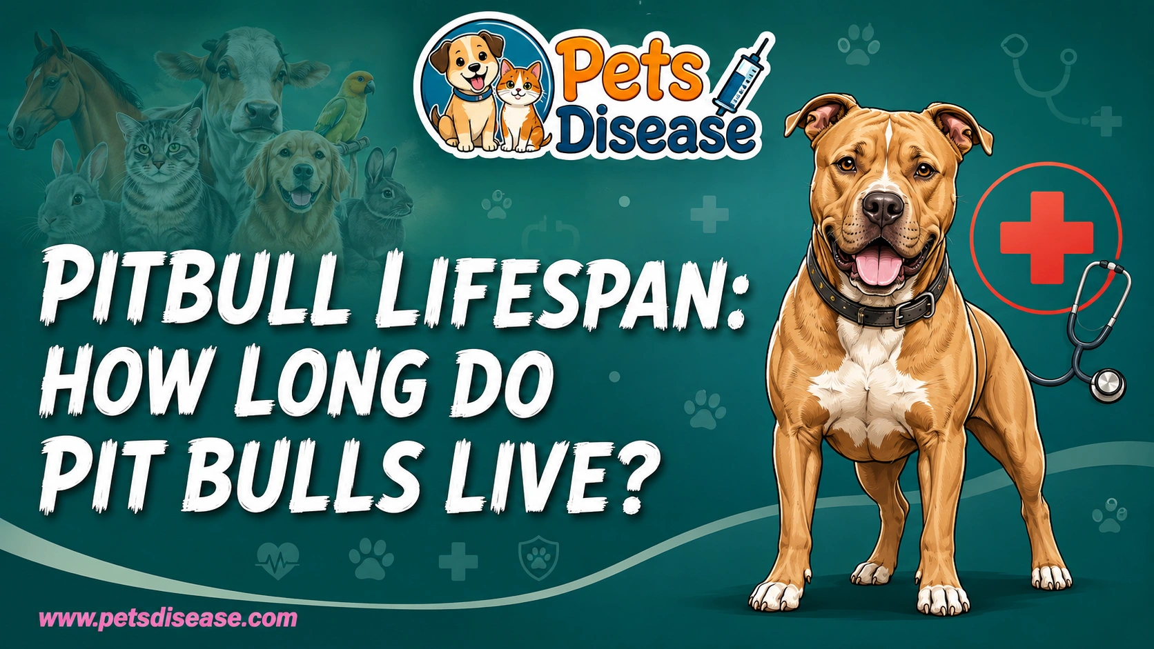 Pitbull Lifespan: How Long Do Pit Bulls Live?