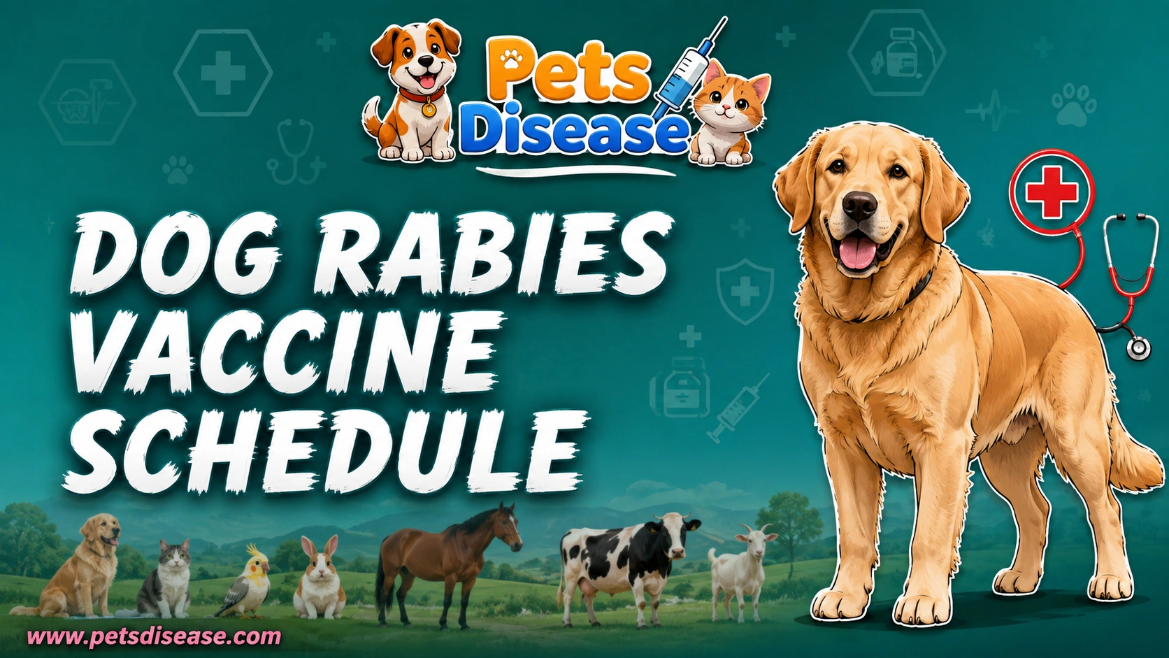 dog rabies vaccine schedule