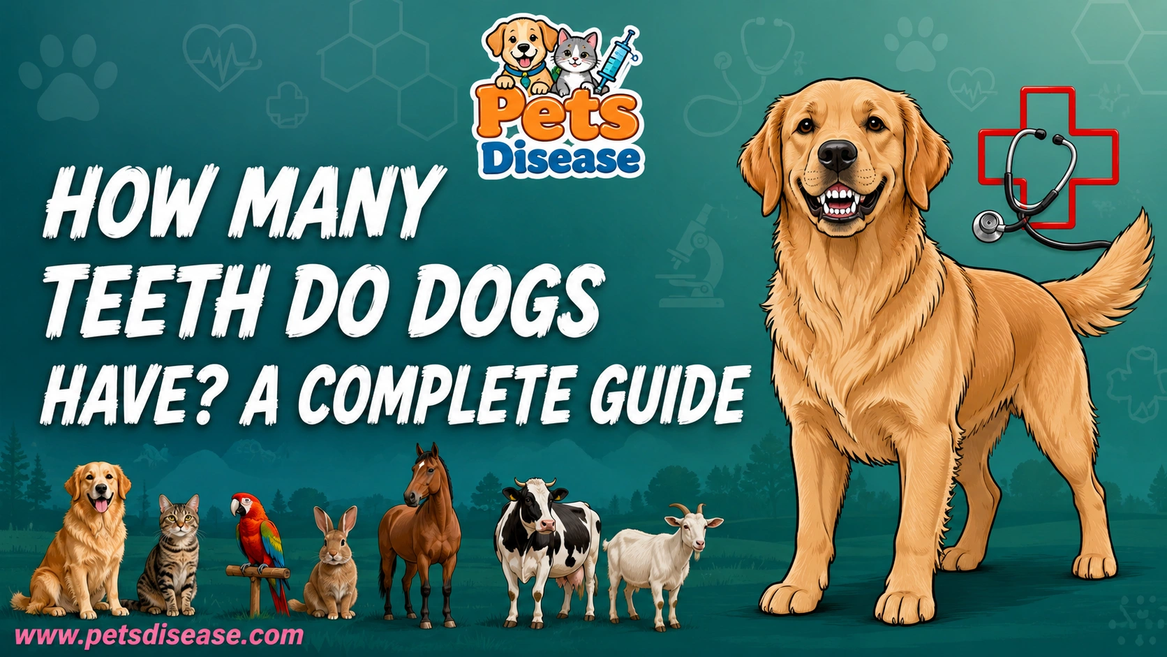 How Many Teeth Do Dogs Have? A Complete Guide
