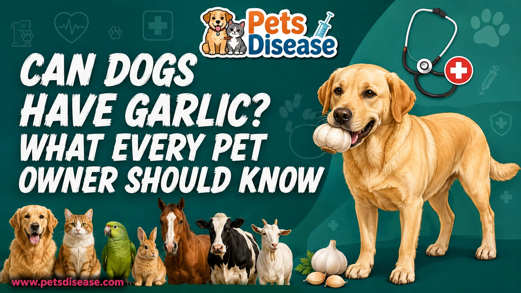 Can Dogs Have Garlic? What Every Pet Owner Should Know