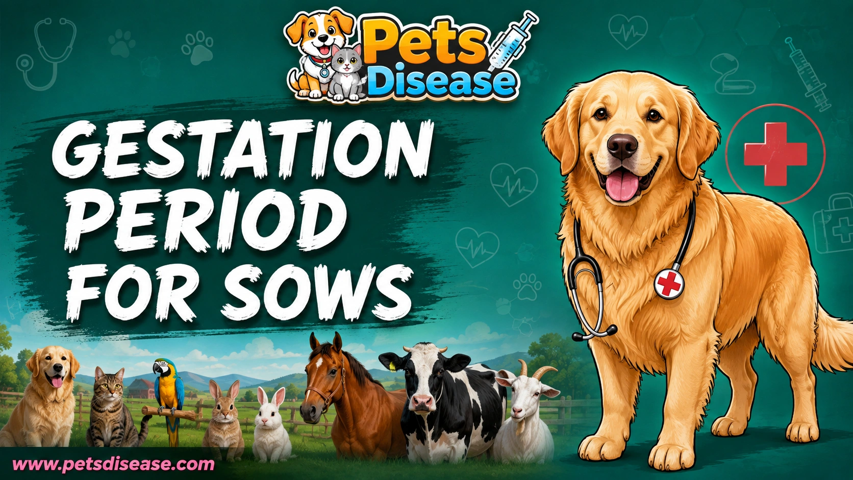 gestation period for sows
