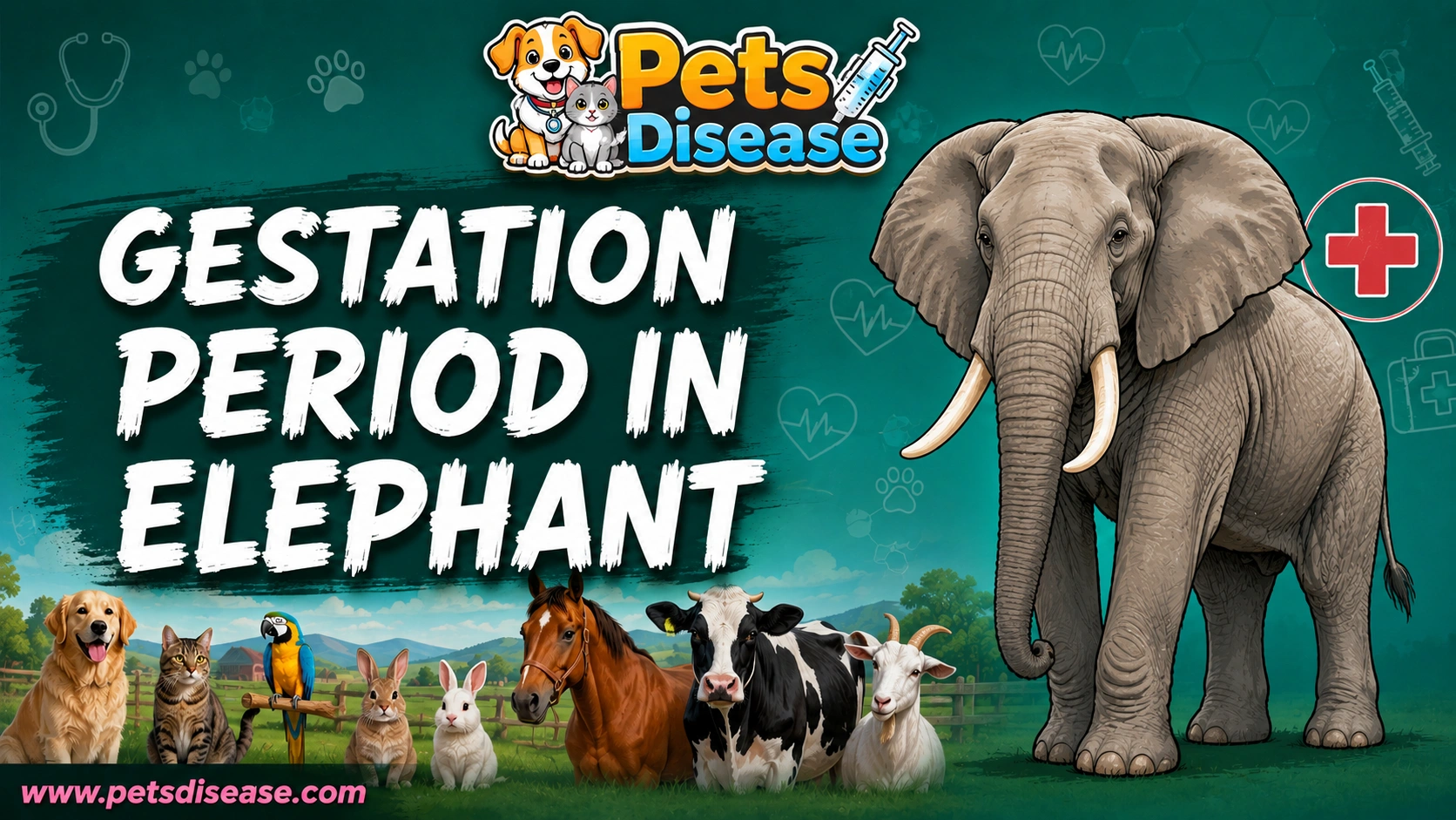 gestation period in elephant