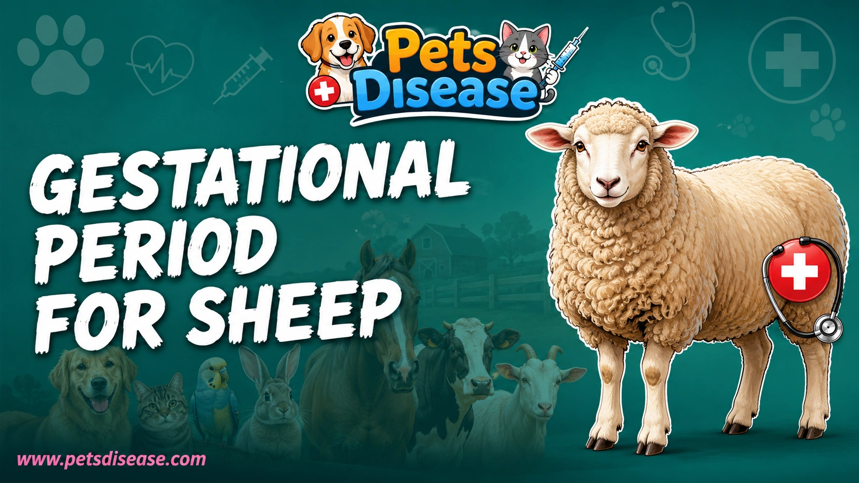 gestational period for sheep