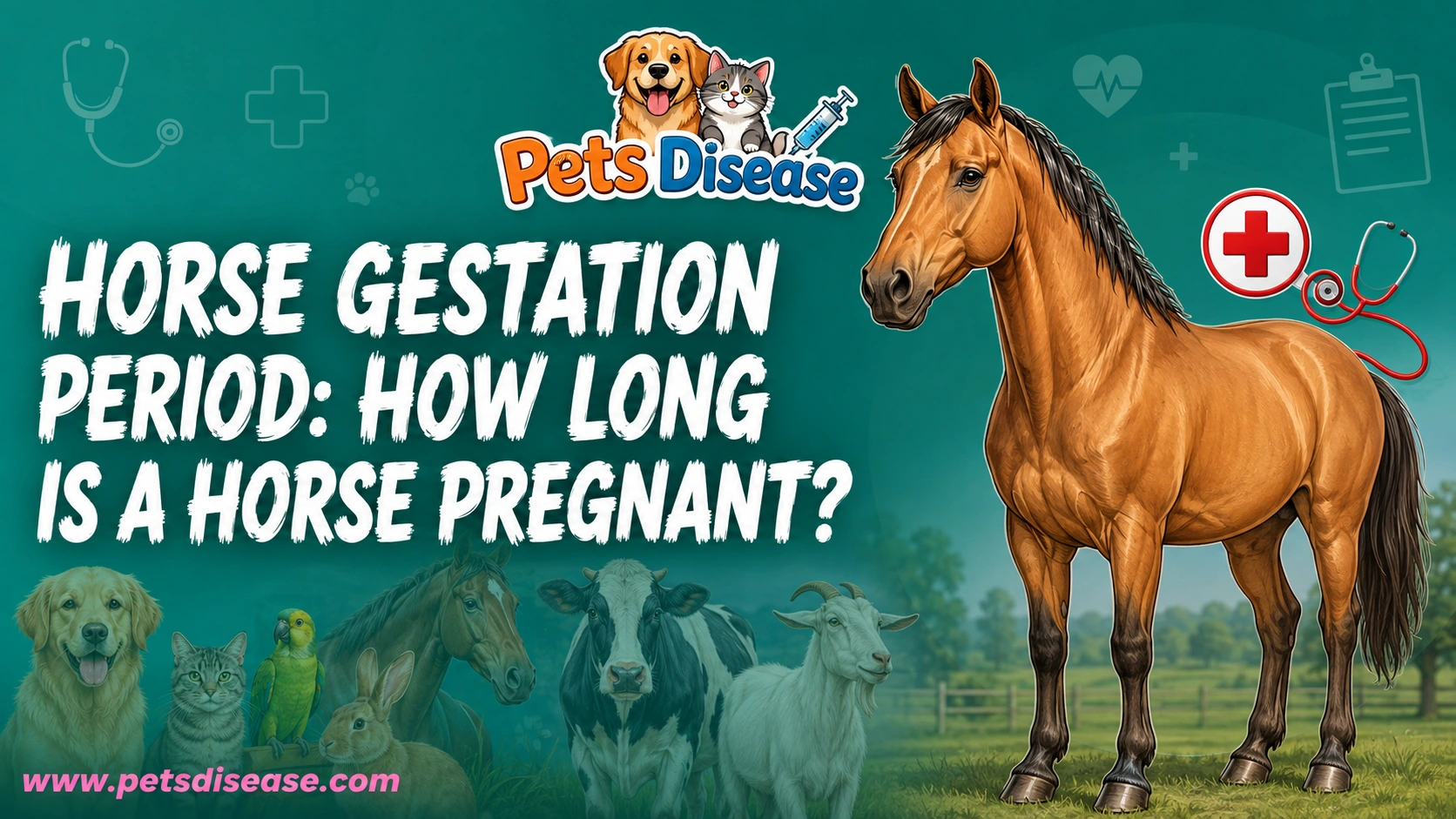 horse gestation period