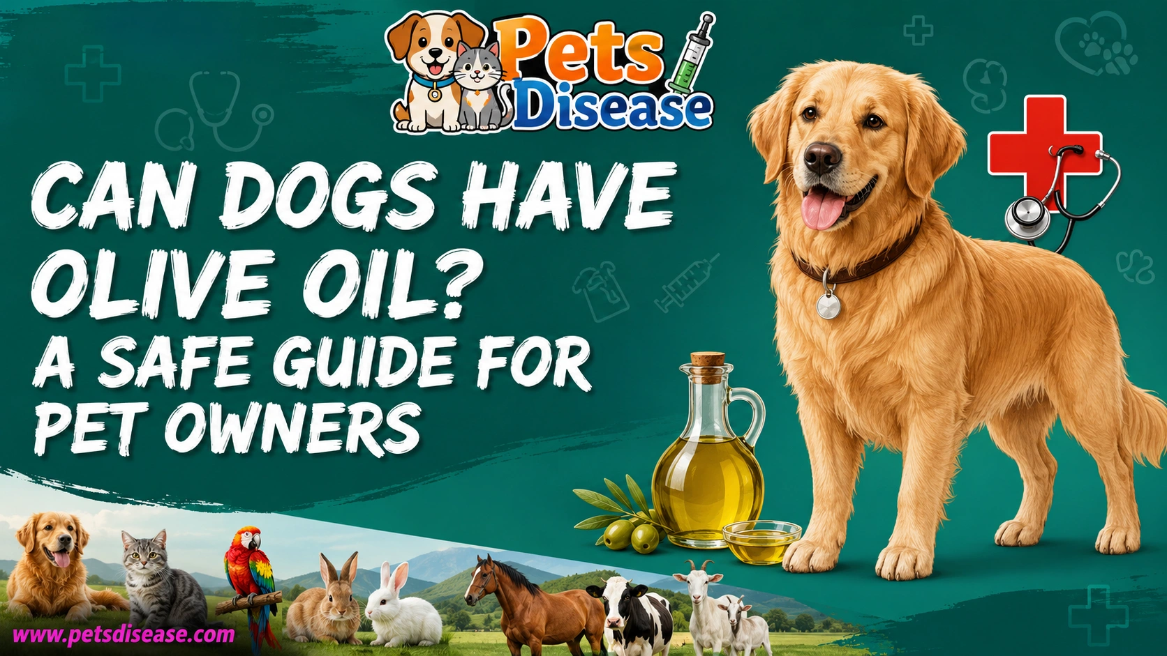 Can Dogs Have Olive Oil? A Safe Guide for Pet Owners