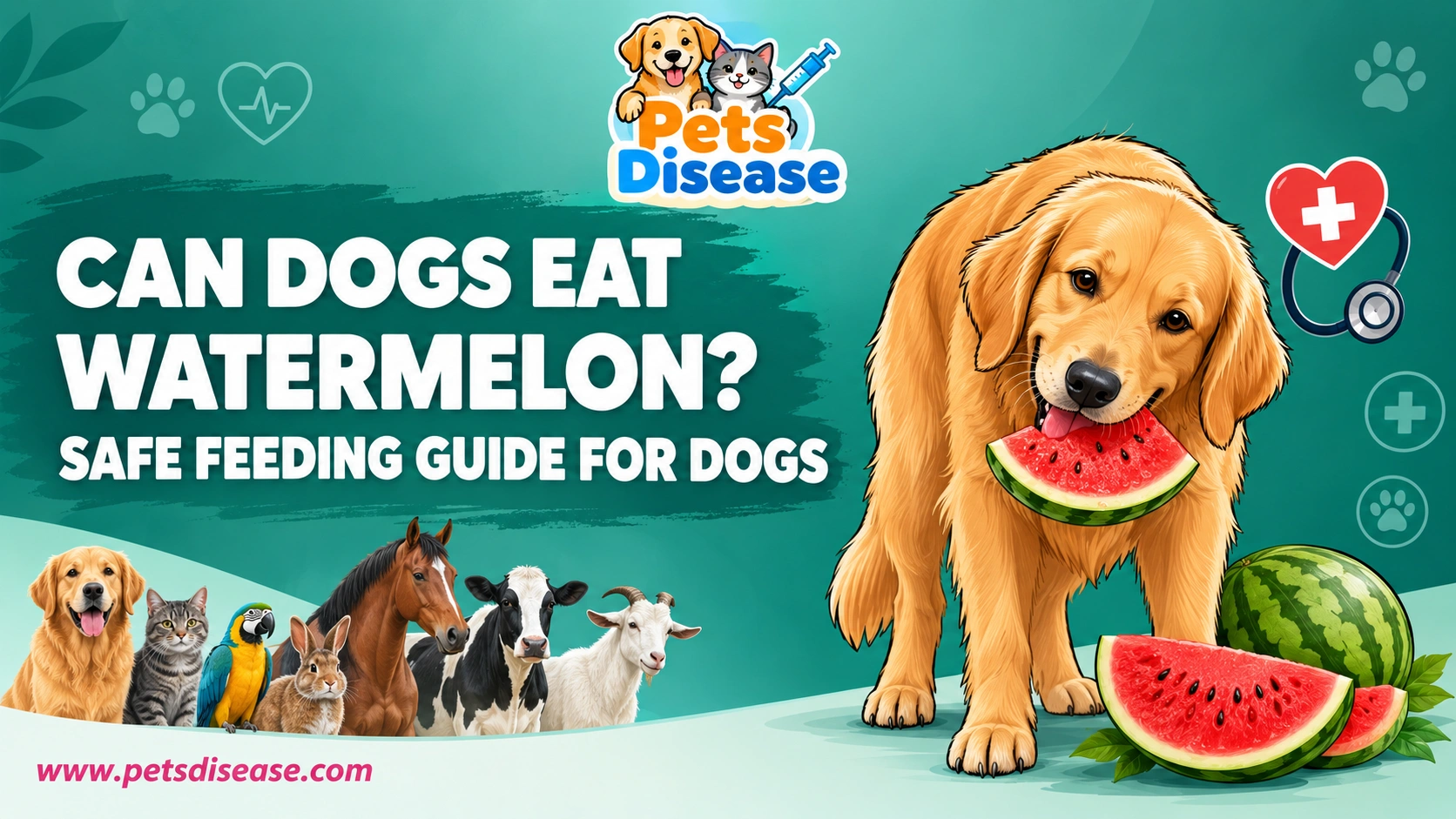 Can Dogs Eat Watermelon? Safe Feeding Guide for Dogs